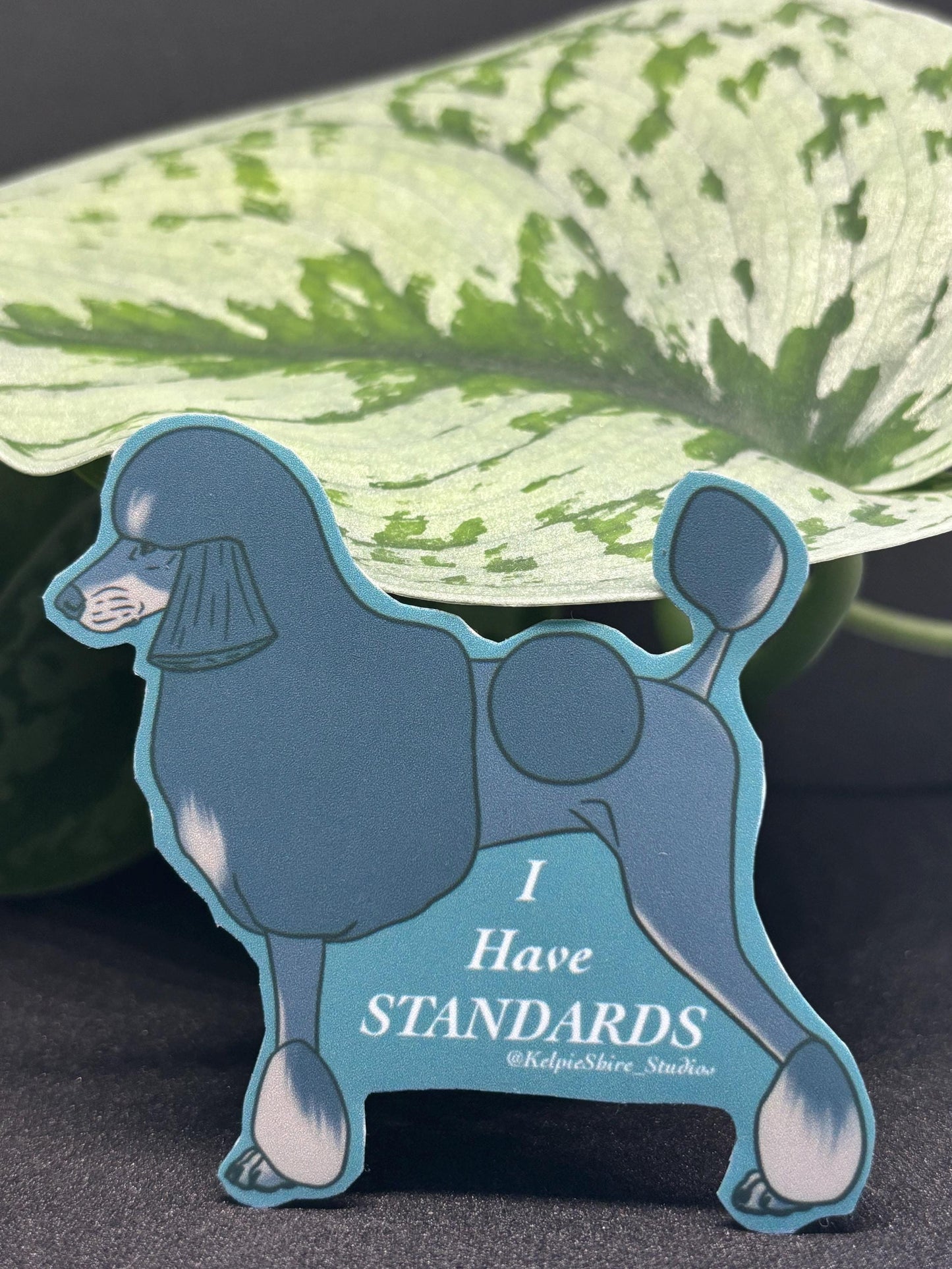 I Have Standards Sticker